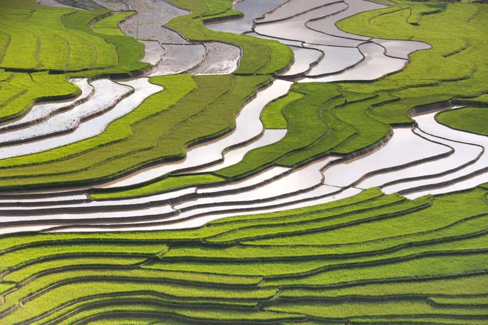 Kho gạo của Trịnh Nhi